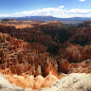 Meet your Posher, Conor